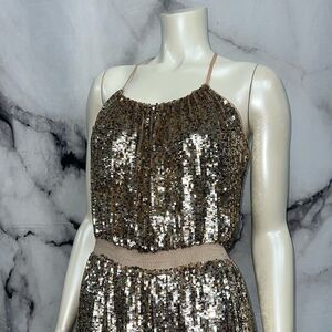Parker dress gold silver sequined